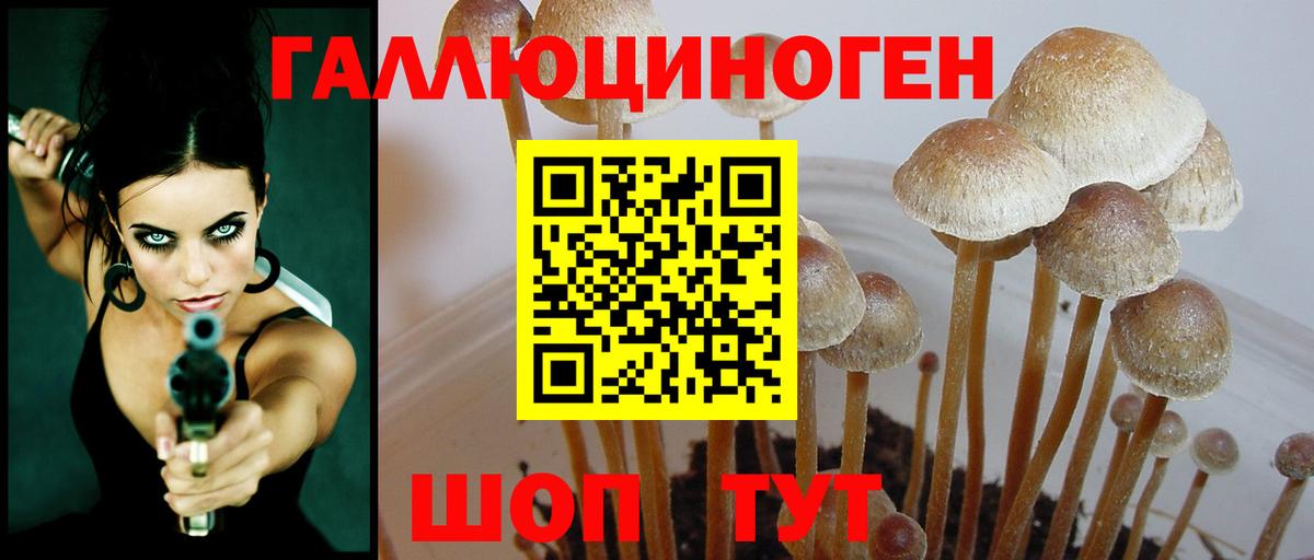 Псилоцибиновые грибы Magic Shrooms Можайск